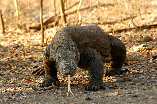El impacto de las nuevas Siete Maravillas