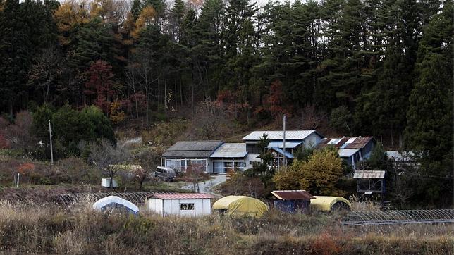 Detectan partidas de arroz contaminado con cesio en Fukushima
