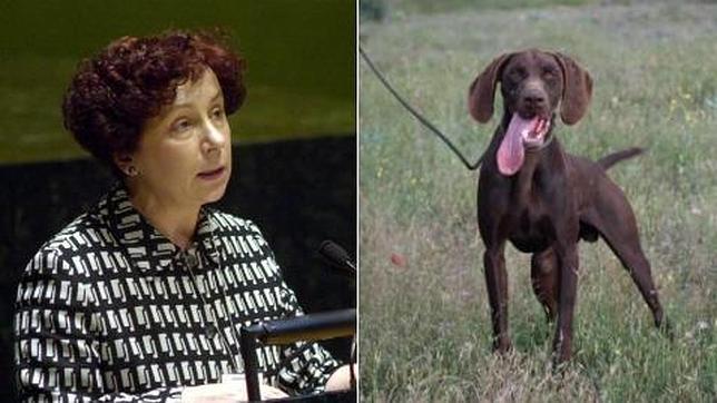 La exministra Ana Palacio pide ayuda en Twitter para encontrar a su perro perdido