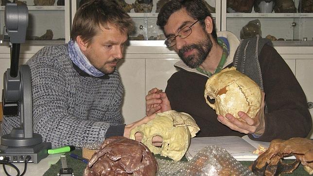 Los primeros «Homo sapiens» podían oler mejor que los neandertales