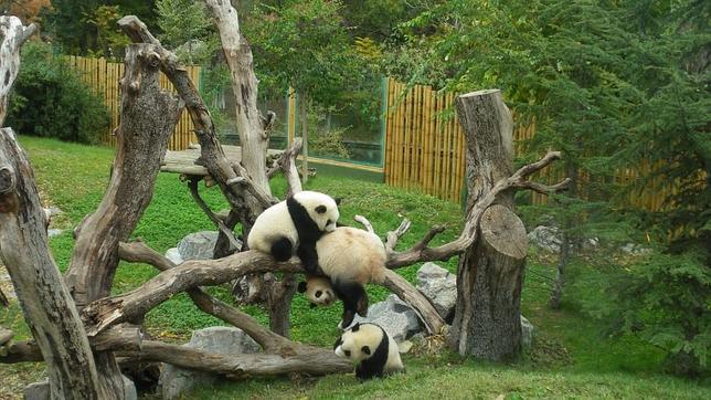 Los reyes de las fiestas