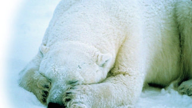 Demuestran la relación que existe entre cambio climático y biodiversidad de manera cuantitativa