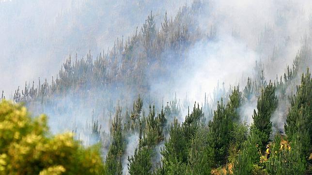Siete muertos en incendios en Chile que el Gobierno atribuye a «terrorismo»