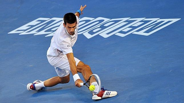 Djokovic elimina a Ferrer en tres sets