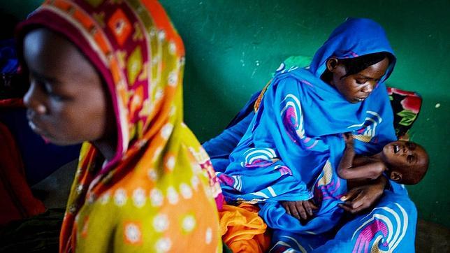 Unicef pide 900 millones para aliviar el sufrimiento de niños y mujeres de 25 países