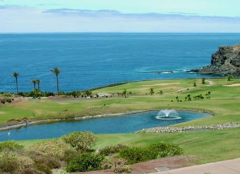 El sector privado pretende la gestión de Buenavista Golf