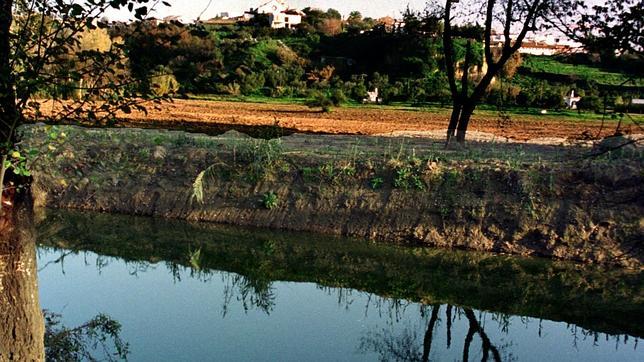 Diez retos para detener el deterioro progresivo del Guadalquivir