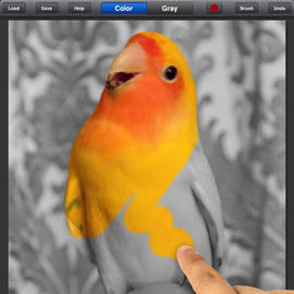 Color Splash trae mejoras para el iPad