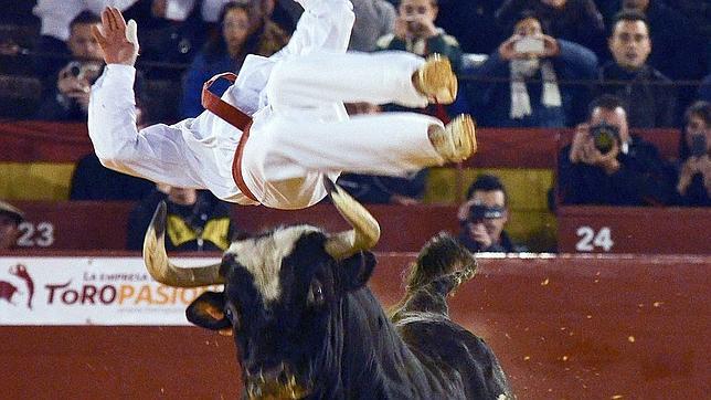Toril Raton El toro «Ratón» vuelve al ruedo