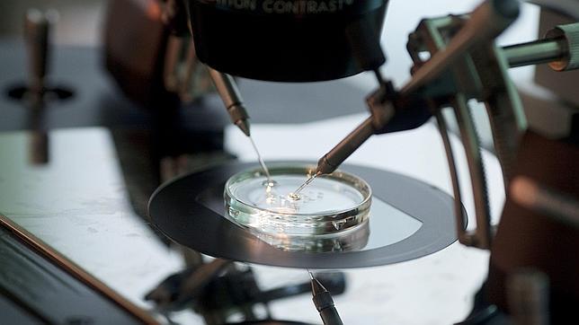 Tres de cada cien niños nacen en España con técnicas de reproducción asistida