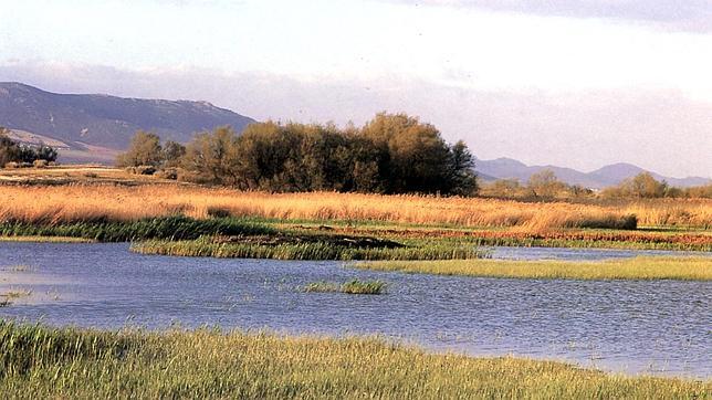 Las Tablas de Daimiel, inundadas casi en su totalidad, pese a la sequía