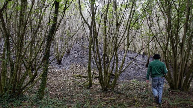 Las labores de extinción del incendio en las Fragas se centran ahora en refrescar la zona