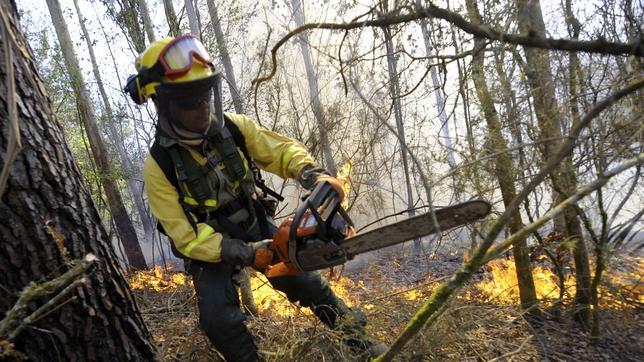 Cinco perfiles para cinco tipos de fuegos