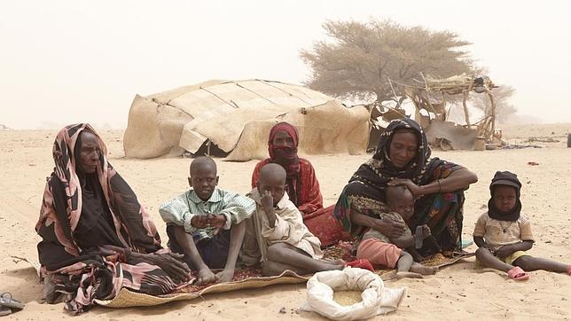 Buscar comida hasta en los hormigueros