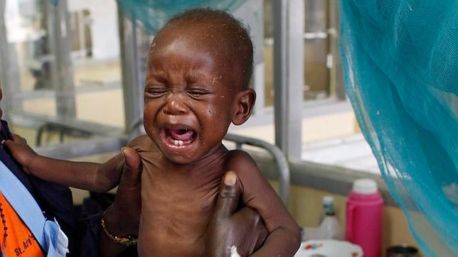 Cada minuto muere un niño en el mundo por malaria