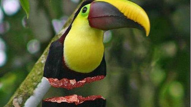 Indígenas bolivianos denuncian bloqueos por su marcha contra una carretera que atravesará un parque nacional