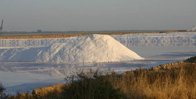 Demasiada sal aumenta el riesgo de sufrir un accidente cerebrovascular