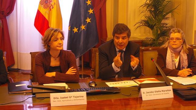 Continúa el descenso en el consumo de cerveza en 2011