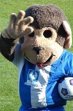 Los pitufos del Hartlepool