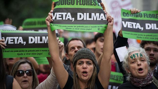 Las asociaciones ecologistas piden a la presidenta de Brasil vetar Código Forestal