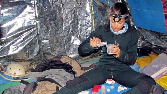 Hallan los invertebrados vivos a mayor profundidad de la Tierra