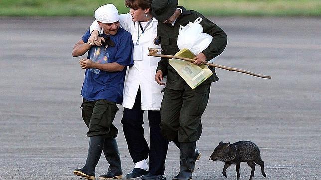 «Josefo», el cerdito que salvó de la depresión a un rehén de las FARC en Colombia
