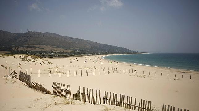 Medio Ambiente advierte que «nadie va a construir una urbanización a pie de playa»