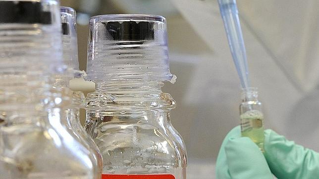 Los deportistas españoles pasarán dos controles antidopaje antes de viajar a Londres