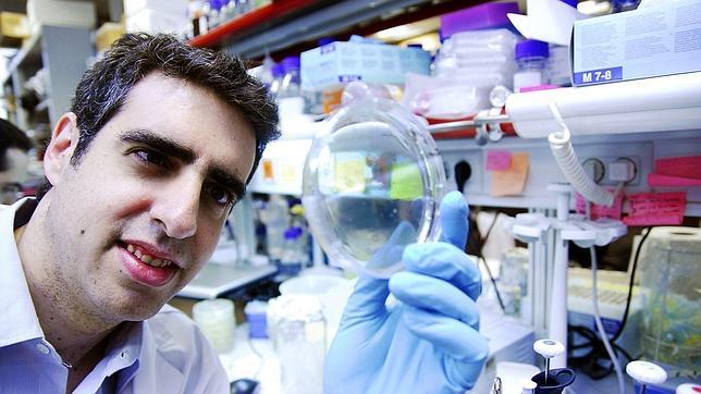 Hallan una molécula antitumoral en el interior de un oncogén