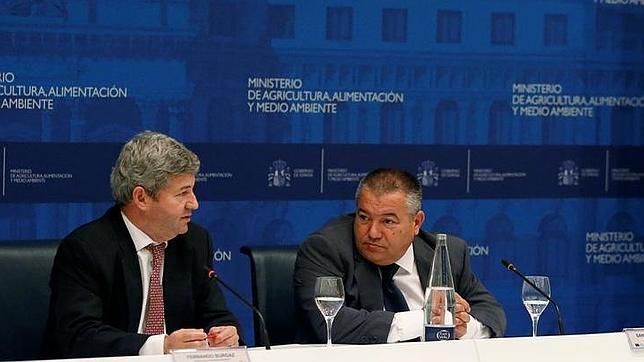 El plátano canario, a la conquista de Europa