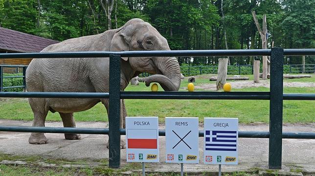 Los herederos del pulpo Paul para la Eurocopa 2012
