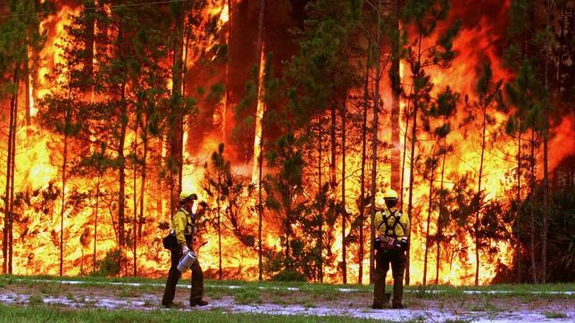 El Congreso pide al Gobierno sanciones más graves para los pirómanos