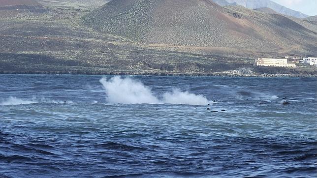 Los sismos siguen en El Hierro casi un año después del inicio de la crisis volcánica