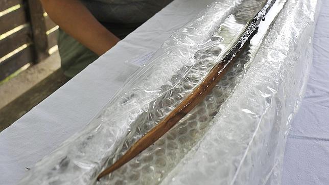 El arco neolítico más antiguo de Europa, encontrado en Banyoles