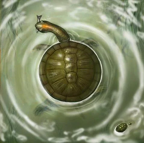 Una tortuga redonda como un neumático