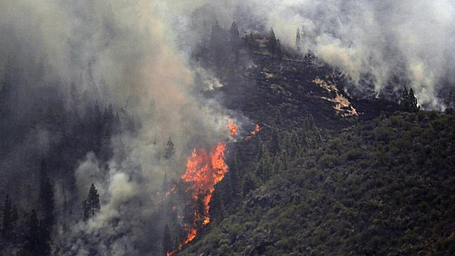 El incendio de La Palma está controlado y el de Tenerife mejora