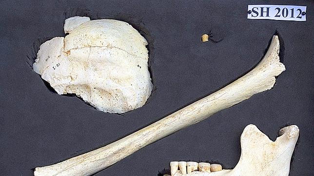 Descubren el 'enterramiento' más antiguo en Atapuerca