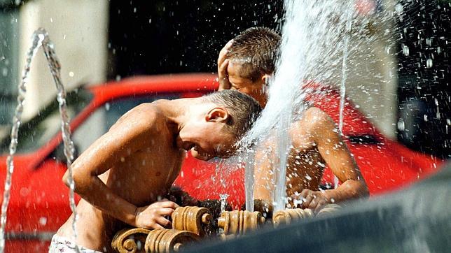 La privación social afecta al crecimiento del cerebro