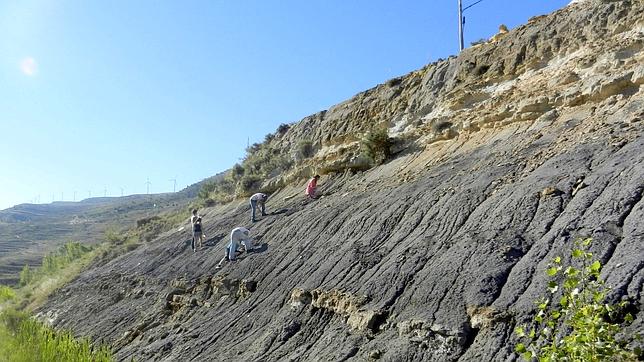 Hallan en Teruel una de las mayores piezas de ámbar de España