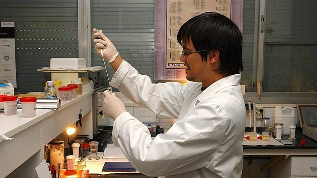 España concentra hasta el 40% del turismo reproductivo