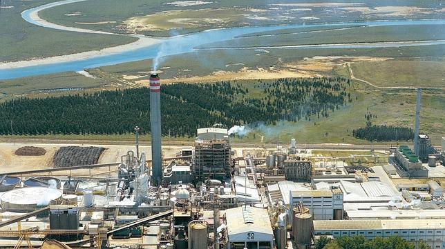 Bosques y océanos absorben el doble de dióxido de carbono que hace 50 años