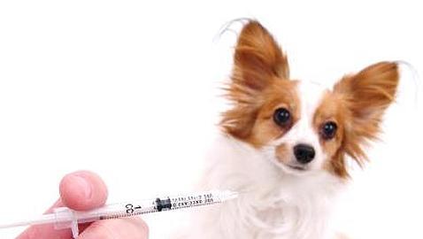 La enfermedad que aún no tiene cura