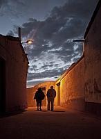 El camino de las avutardas