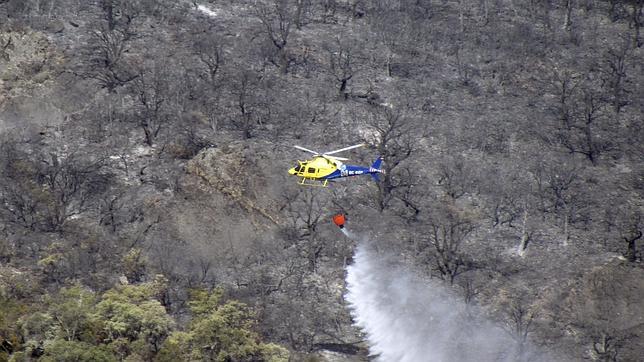 Investigan si el incendio del Parque Nacional de Cabañeros fue intencionado
