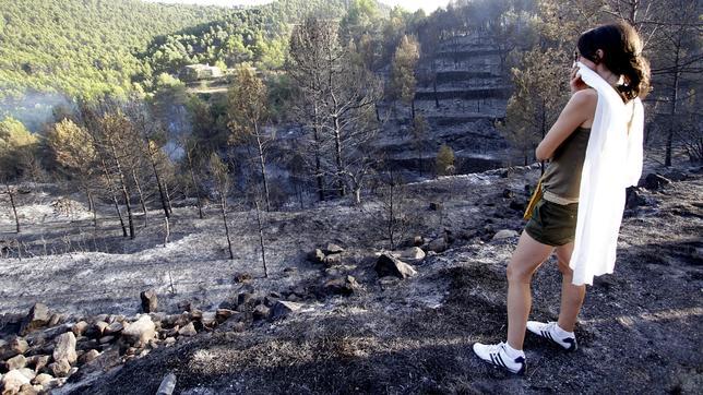 Endurecer las penas de los pirómanos, ¿una solución contra los incendios?