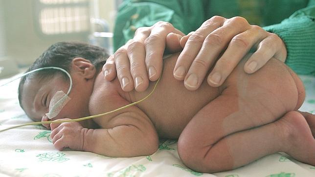 Cientos de bebés prematuros se alimentan con leche donada por madres altruistas