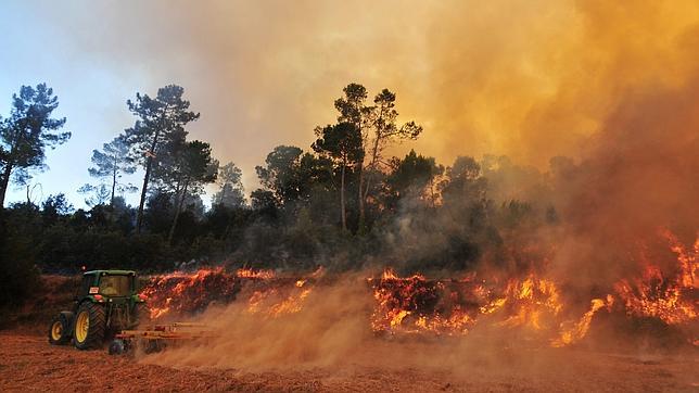 El fuego arrasa casi 150.000 hectáreas en lo que va de año, con 29 grandes incendios