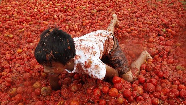 120.000 kilos de tomates para celebrar la «Tomatina» de Buñol