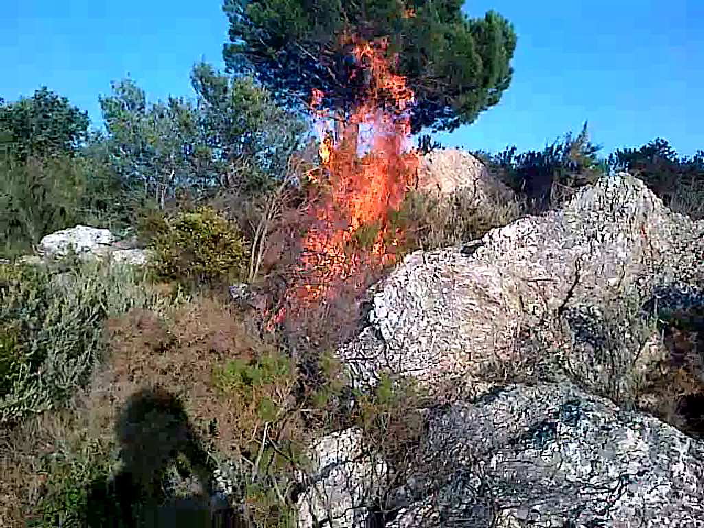 Detenidos dos menores que se grabaron mientras provocaban hasta ocho incendios