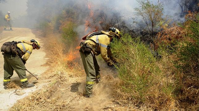 La extinción del incendio de Málaga evoluciona de manera «favorable»